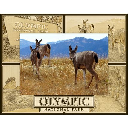 Olympic National Park Laser Engraved Wood Picture Frame Landscape (5 x 7)