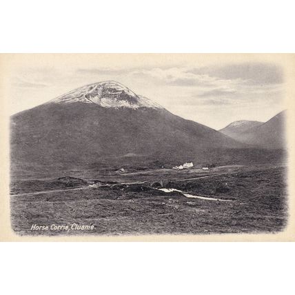 Horse Clorrie Cluanie Inverness Scottish Postcard