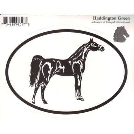 Equine Breed Oval Car Window Decal Black & White Sticker - Arabian