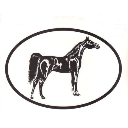 Equine Breed Oval Car Window Decal Black & White Sticker - Arabian