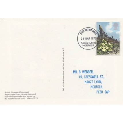 Daffodils Kings Lynn Norfolk Royal Mail FDC Postcard