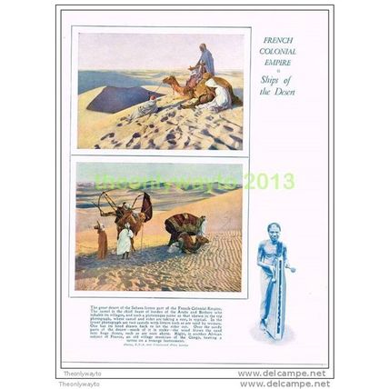 CAMELS IN THE FRENCH SAHARA, BOOK ILLUSTRATION, c1930