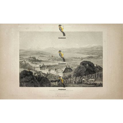 Zurich, Switzerland, Book Illustration (Print), 1864