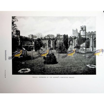 Wells Fortified Palace, Interior & Gatehouse, Book Illustration (Print), 1926