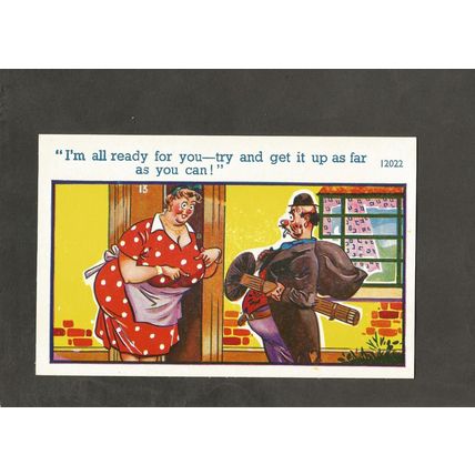 C Richter Cards Saucy Comic Postcard 12022 The Sweep