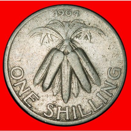 Ⰶ GREAT BRITAN (1964-1968): MALAWI ★ 1 SHILLING 1964 CORN!★LOW START★NO RESERVE