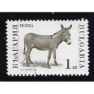 BULGARIA 1991 FARM ANIMALS 1L DONKEY BROWN & BLACK SG 3735 FINE USED