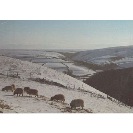 Malsmead From County Gate in Winter Somerset Exmoor National Park Postcard