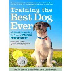 Training The Best Dog Ever