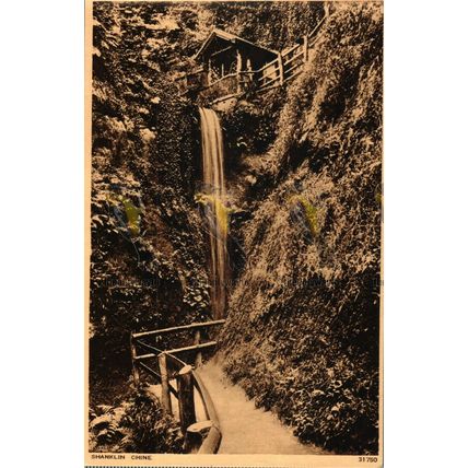 Shanklin Chine, IOW, 31750 Photochrom Postcard