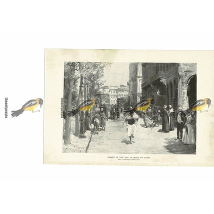 Street In New Quarter of Cairo, Egypt, Book Illustration (Print), 1891