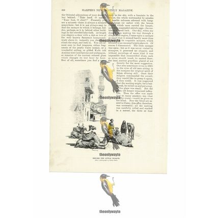Before The Little Mosque, Cairo, Egypt, Book Illustration (Print), 1891