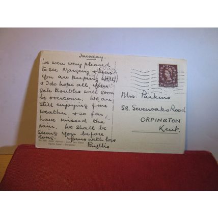 ASTER ALPINUS, flowers swiss used postcard 1955 pm =