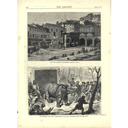 TRANSFERRING THE HAIRY RHINOCEROS 1872 Ernest Griset VICTORIAN ENGRAVINGS