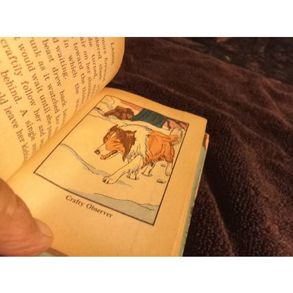 Big Little Book Lassie Adventure In Alaska By George S Elrick 4.0 VG Shape 1968