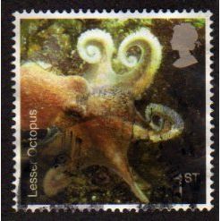 Great Britain 2007 Sea Life 1st Lesser Octopus Used SG 2704 Sc2433 postage stamp