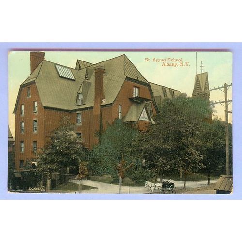 New York Albany St Agnes School View Of Large Tree Shrouded School w/Horse~4