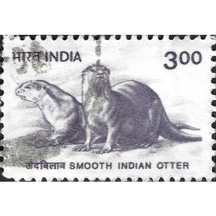 INDIA, MAMMAL, Smooth Indian otter, Lutrogale perspicillata, violet 2000, 3rupee