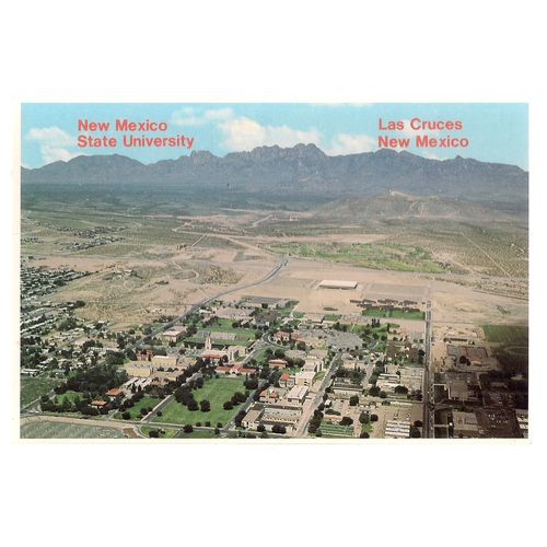 STATE UNIVERSITY, New Mexico vintage unused postcard =