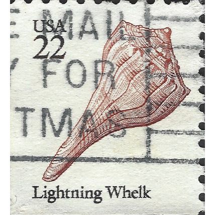 USA, MOLLUSCS, Lightning Whelk, white 1985, 22c #4