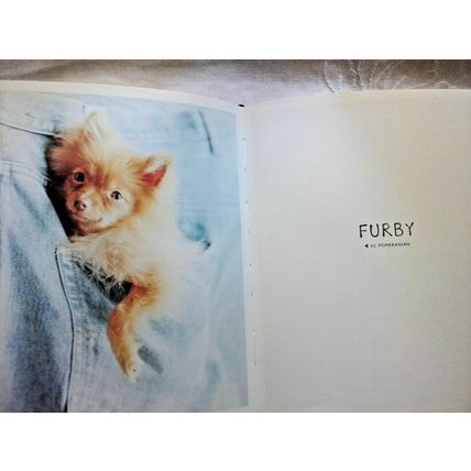 101 SALIVATIONS For The Love Of Dogs - Rachael Hale HC /DJ ISBN 9780733617690