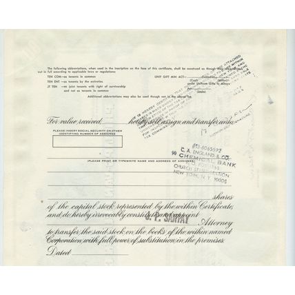 Phillips-Van Heusen Corporation 100 Shares 1972 Stock/Share Certificate
