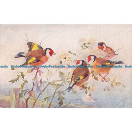 R156092 Birds and Blossoms. Tuck. Oilette
