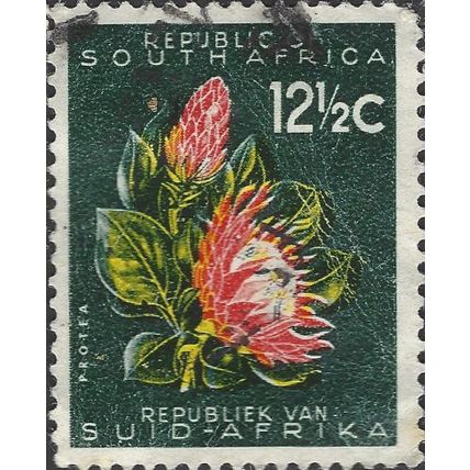 SOUTH AFRICA, FLOWER, Protea cynaroides, green 1961, 12½c, #2