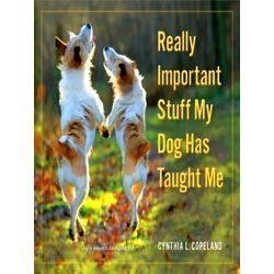 Really Important Stuff My Dog
