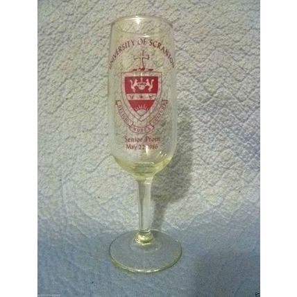 UNIVERSITY OF SCRANTON SENIOR PROM CHAMPAGNE FLUTE WINE GLASS 1986 SCHOOL SEAL