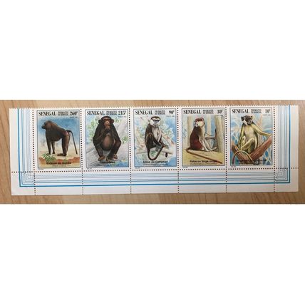 Sénégal 1996 Mi.1447 - 1451 Faune Fauna Singes Monkeys Affen Primates RARE MNH