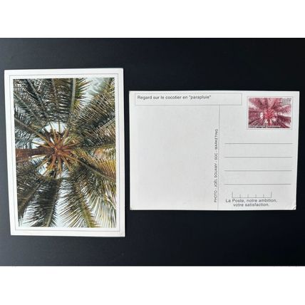 Gabon 1998 Mi. ? Entier Postal Regard sur le cocotier en parapluie Kokosbaum