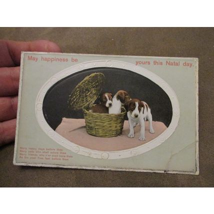 1910 fr Postcard - Natal / Birthday greetings - Puppies dog & Owl