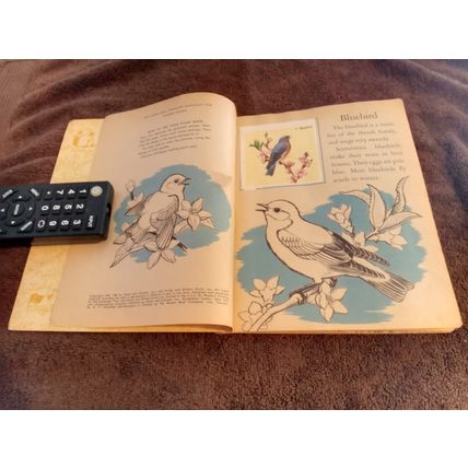 Little Golden Book Bird Stamps By Kathleen Daly B Edition VG/FN Shape 1949