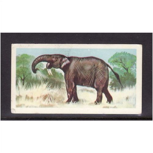 Brook Bond Prehistoric Animals Deinotherium No 45 Mint