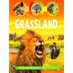 Life Cycles: Grassland