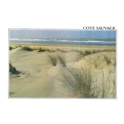 COTE SAUVAGE, QUIBERON, FRANCE unused postcard =