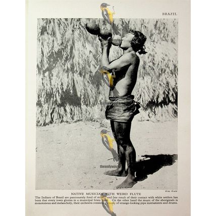 Native Musician, Brazil, (Bororos Indian At Work On Back), Book Illustration