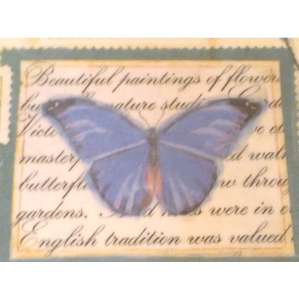 Melamine Serving Tray Blue Butterfly Flower Nature Collage Rectangle Shape