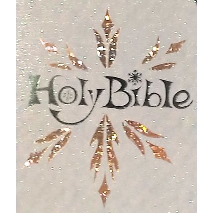 ICB Frost Bible by Tommy Nelson Hardcover International Children's Bible