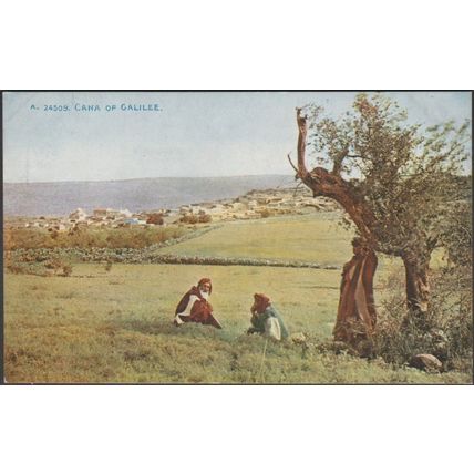 Cana of Galilee, Palestine, c.1910 - Photochrom Postcard