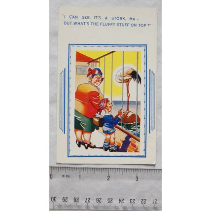 vintage comic postcard ...Whats The Fluffy Stuff on Top