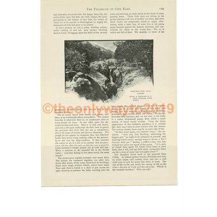 Elan Valley, Pont-Hyll-Fan, Wales, Book Illustration (Print), c1893