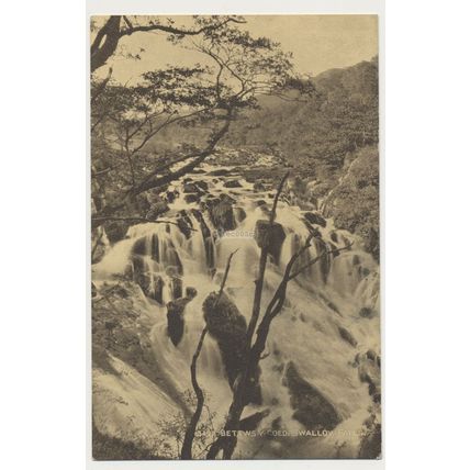 SWALLOW FALLS From Above c.1890 Betws Y Coed early 20th C. RPPC PHOTOCHROM 3427