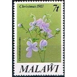 Malawi 1983 Xmas Flowers 7t Clerodendium Myricoides Mint NHM SG 684 Sc 423 Stamp