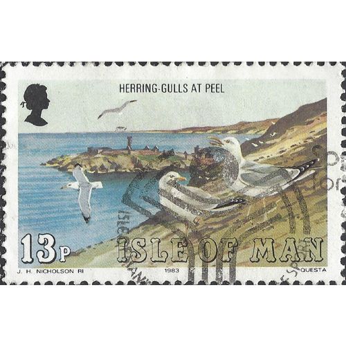 ISLE O MAN, BIRD, Herring Gull, Peel, blue 1983, 13p, #3