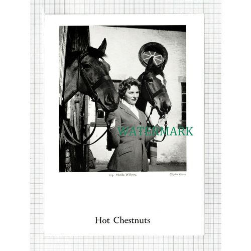C5432) Sheila Willcox Horse - 1959 Cutting