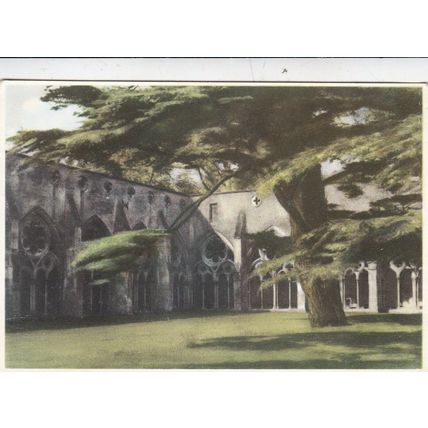 Salisbury Cathedral Cloisters Postcard unused VGC