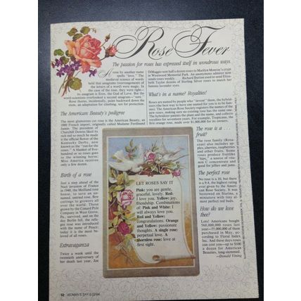 Woman's Day Magazine double sided page Rose photo and Rose Fever