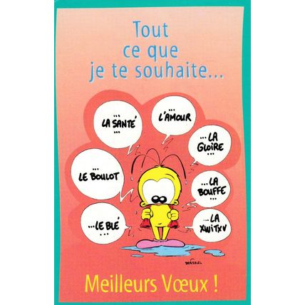 'Tout ce que je te souhaite Meilleurs Voeux Postcard unused VGC